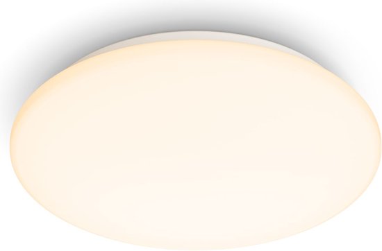 Philips Plafondlamp - Ø25 cm