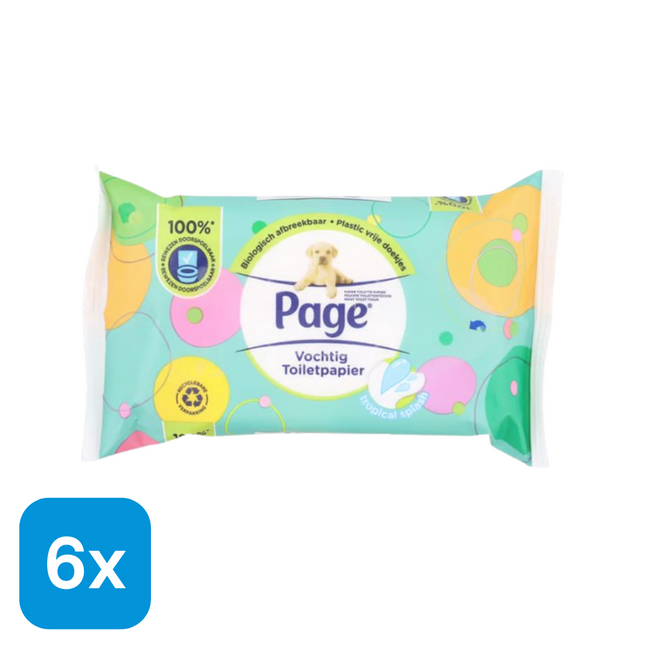 6x Page Vochtig Toiletpapier - 38 stuks