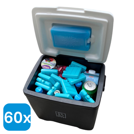 60x Mini Koelelementen Gekleurd