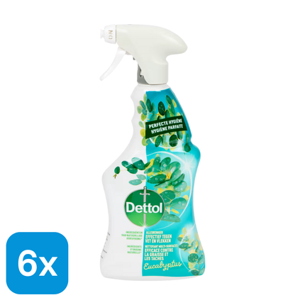6x Dettol Allesreiniger Eucalyptus - 500 ml