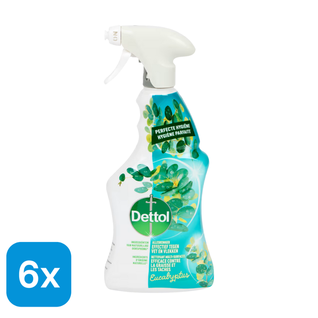 6x Dettol Allesreiniger Eucalyptus - 500 ml